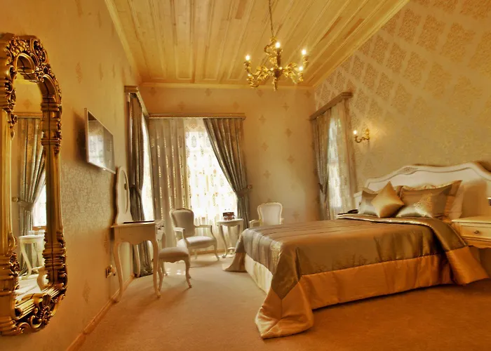 ホテル Ada Buyukada 4*