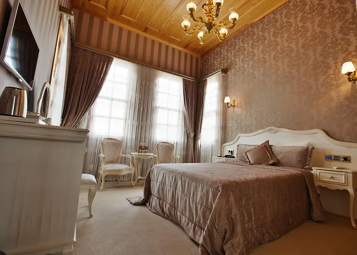 ホテル Ada Buyukada アダラー