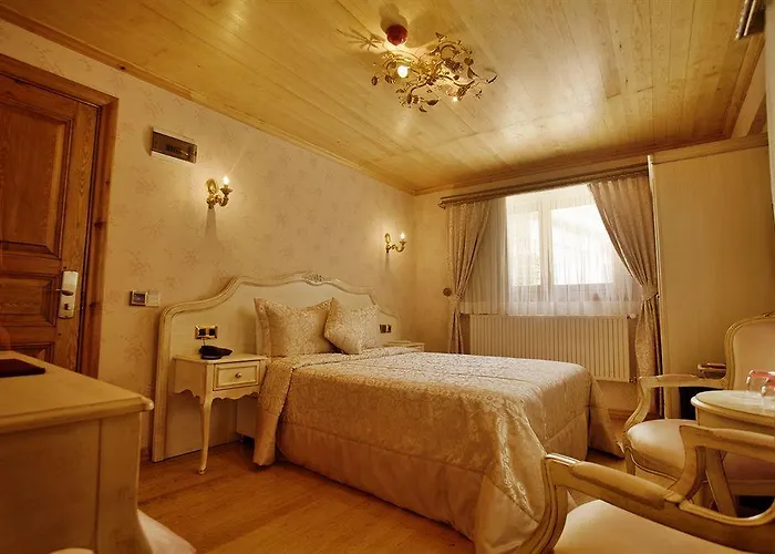 ホテル Ada Buyukada